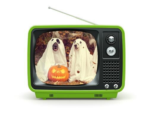 Your Halloween Programming Guide