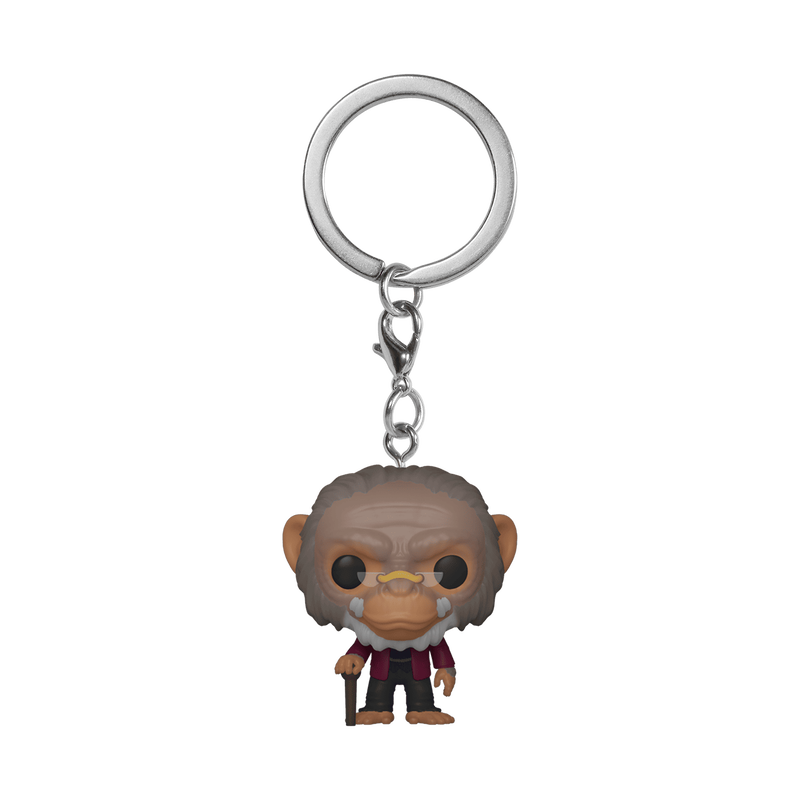 Pop! Keychain Pogo, , hi-res view 1
