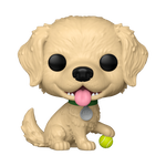 Pop Golden Retriever image