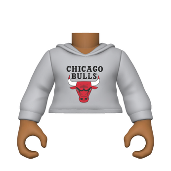 PY: Torso- FM SK5 NBA S2- Bulls, Image 1