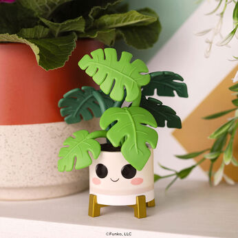 Pop! Plants Monstera, Image 2
