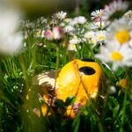 Pop! Tumblebee, , hi-res view 4