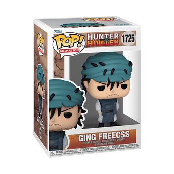 Pop! Ging Freecss, Image 2