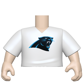 PY: Torso- ML SK1- VNeck(WH) Panthers, Image 1