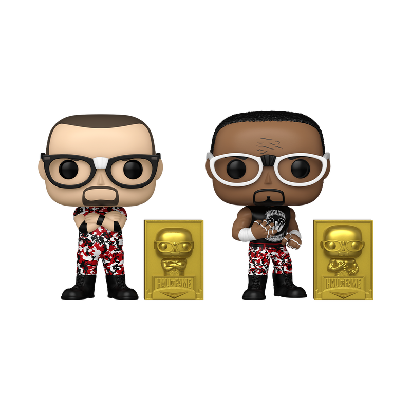 Pop! & Buddy The Dudley Boyz: Bubba Ray & D-Von (2018 Hall of Fame) 2-Pack, , hi-res view 1