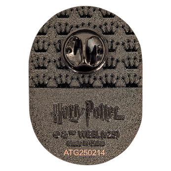 Harry Potter Exclusive Quidditch Mystery Box Pin, Image 2
