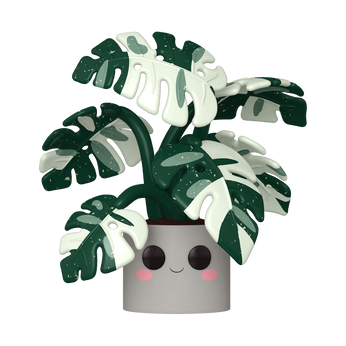 Pop! Jumbo Monstera, Image 1