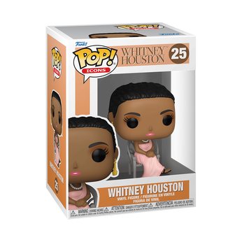 Pop! Debut Whitney Houston, Image 2