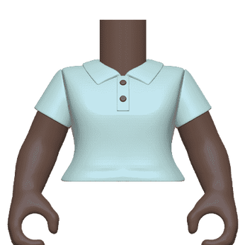BAP: Torso- FM SK4- Golf Polo, Image 1