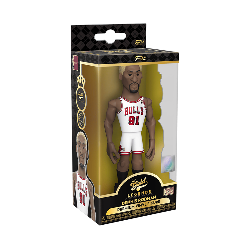 NBA Chicago Bulls Dennis Rodman Funko Pop Figure - Sports Closet