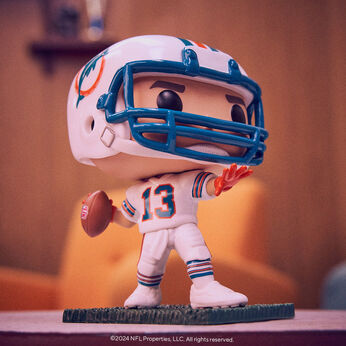Pop! Dan Marino, Image 2