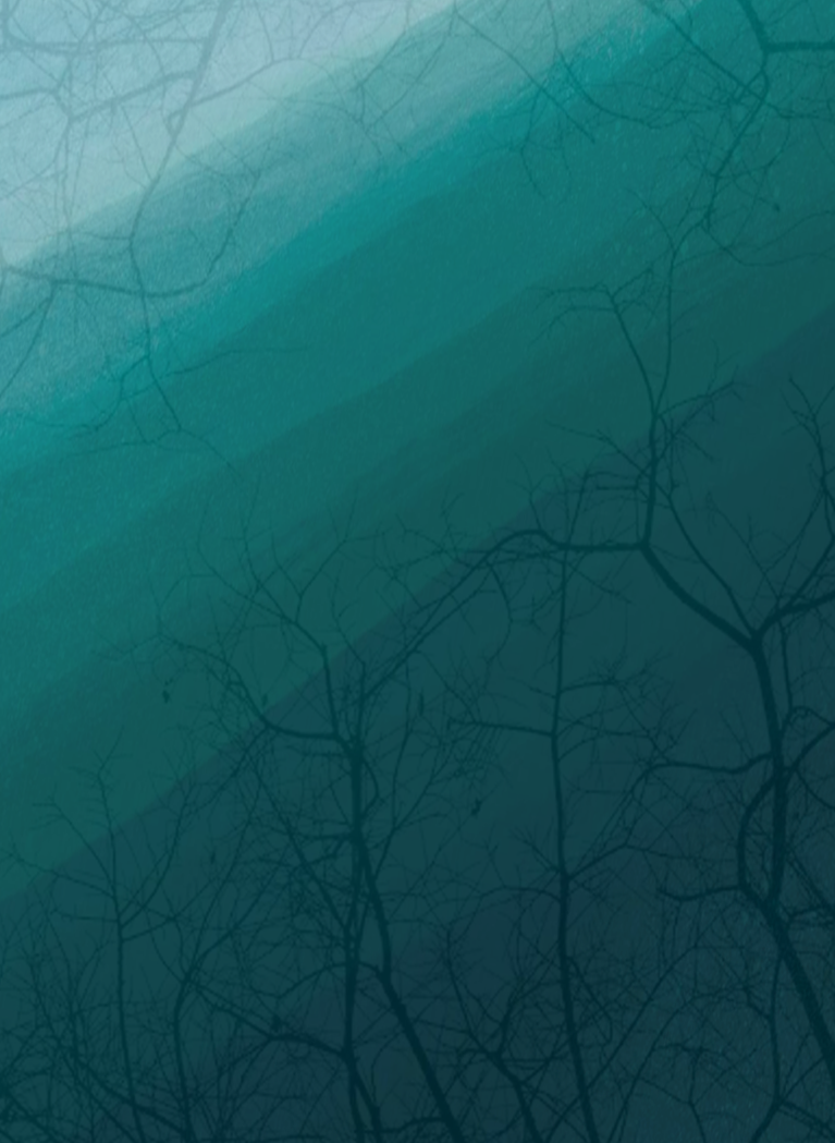 Dark teal fantasy forest background with silhouetted tree branches, misty lighting, and an enchanted woodland atmosphere