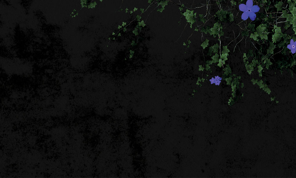 Black background with flowers in top right corner