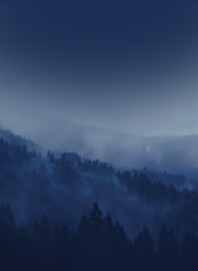Misty blue forest and mountain landscape