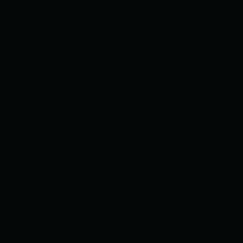 Hex Code - #040707