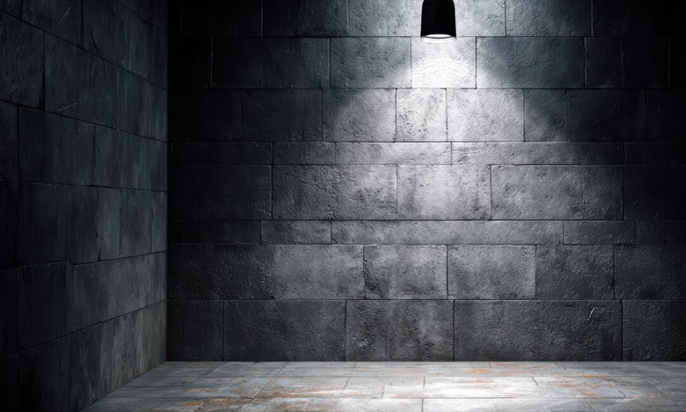 Dark stone wall illuminated by a single overhead light, creating a dramatic, moody interior background.