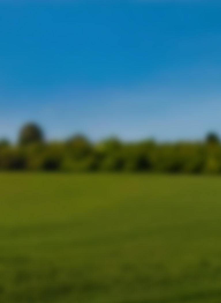 Blurred local football pitch with rusty goal