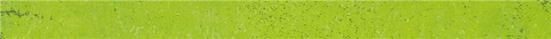 green grunge banner