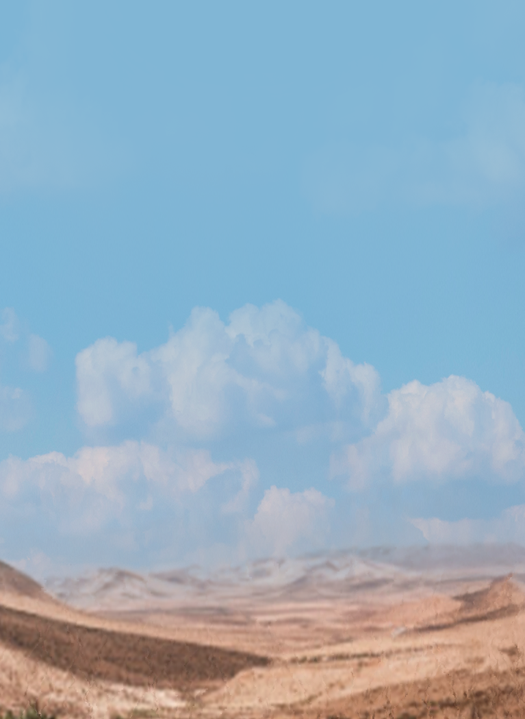 Desert landscape with blue skies above