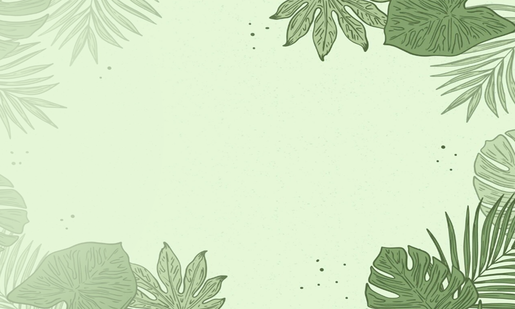Light green botanical background with illustrated tropical leaves framing the edges and an open center