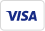 Visa credit card