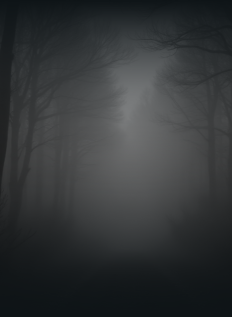 Dark spooky forest background with White glow