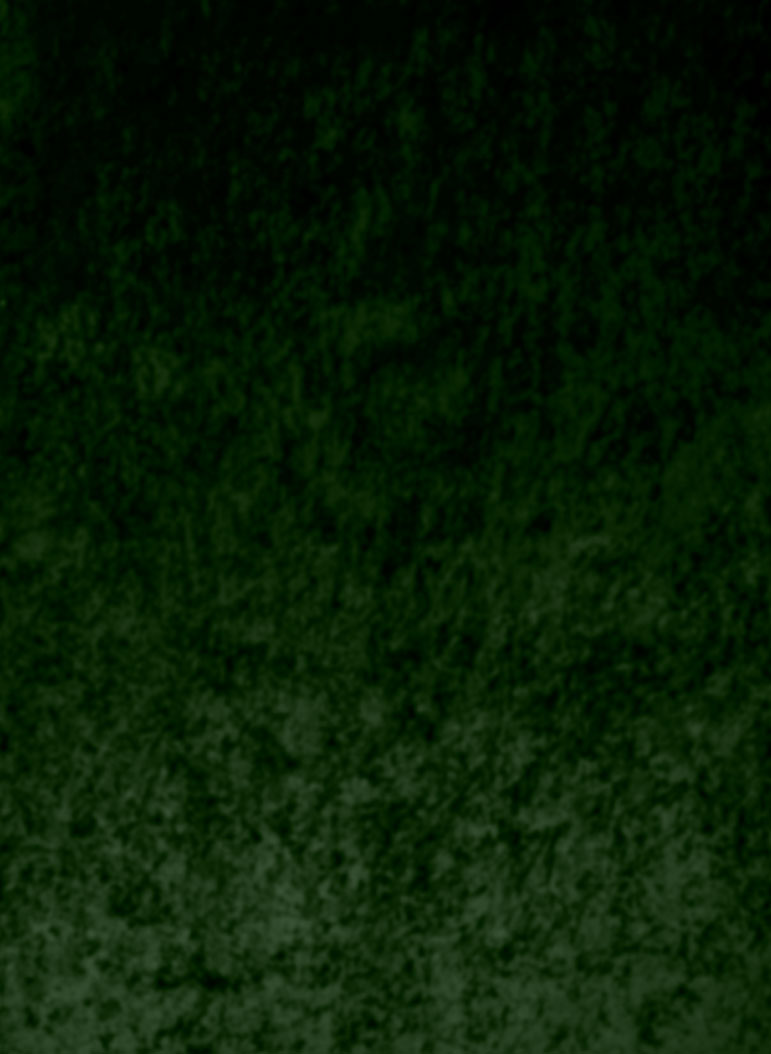 Dark Green gradient background with rough texture