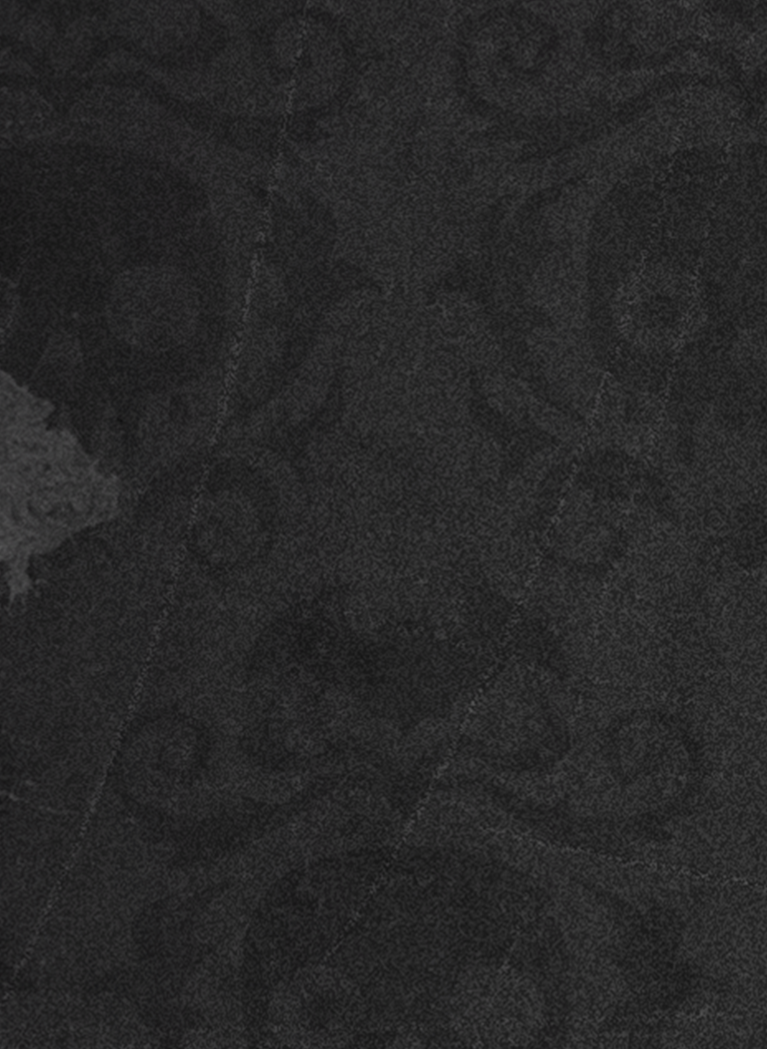 Dark Gray background with spooky, vintage wallpaper pattern