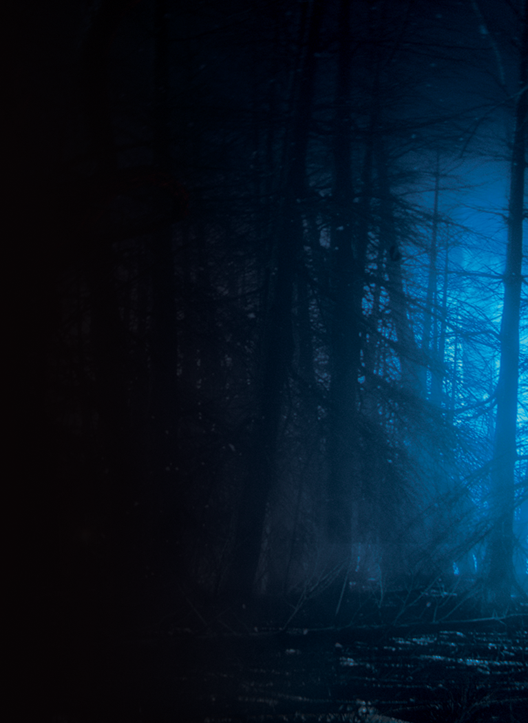 Black background with spooky forest and eerie Blue hue