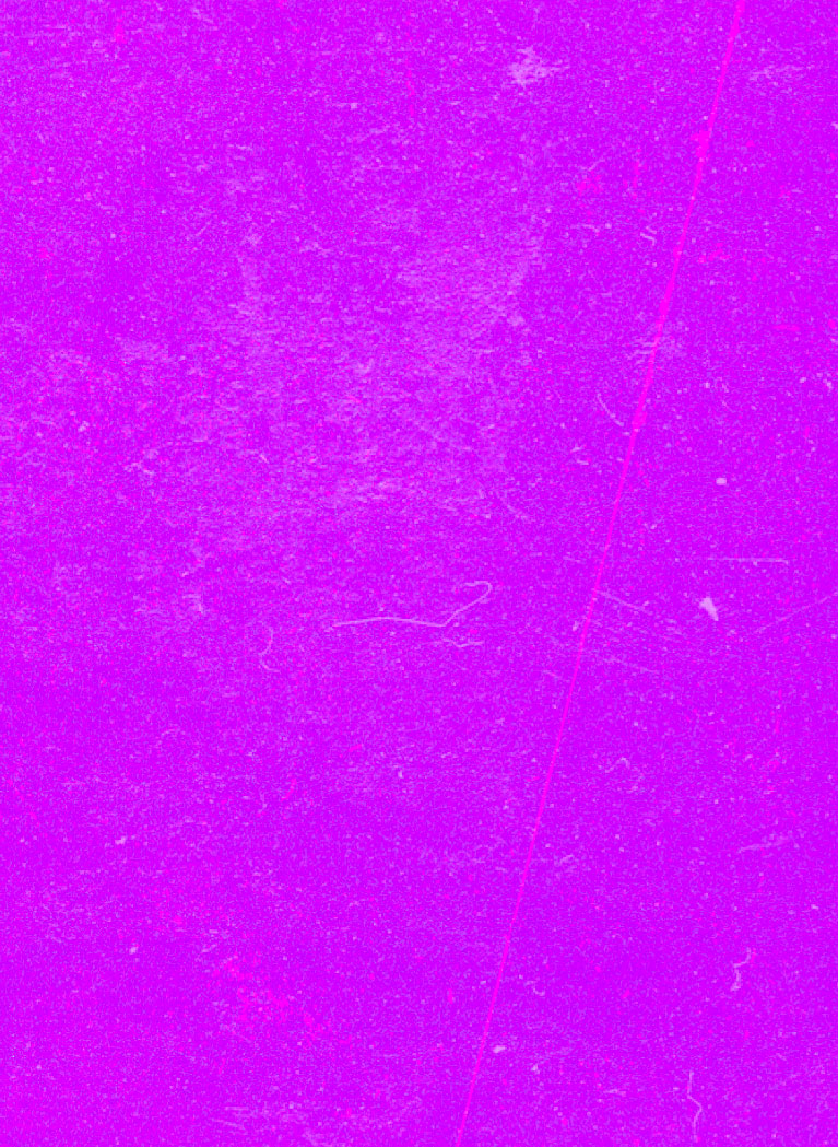 Neon Purple background featuring grunge texture