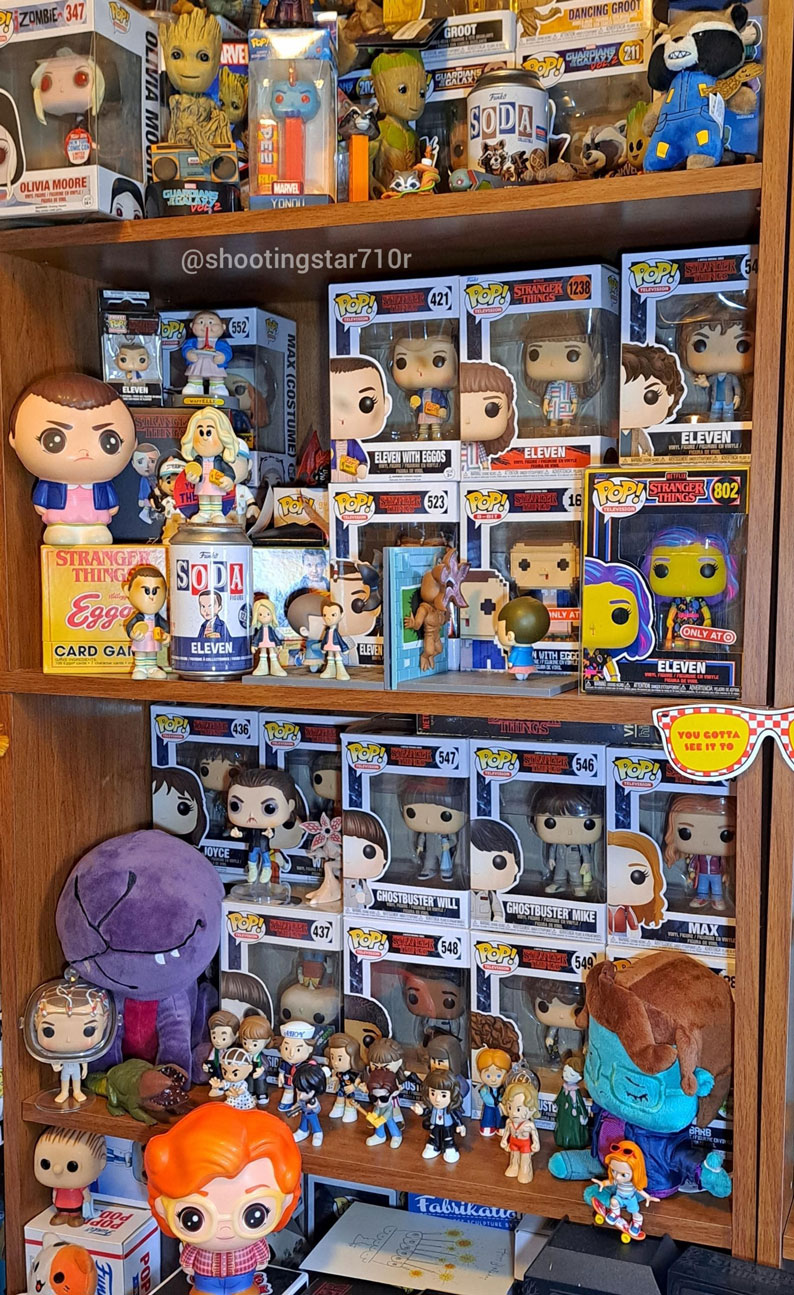 Rochelle's Stranger Things Collection