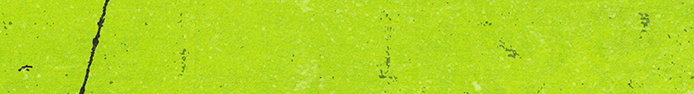 Funkoween Lime Green background with grunge texture