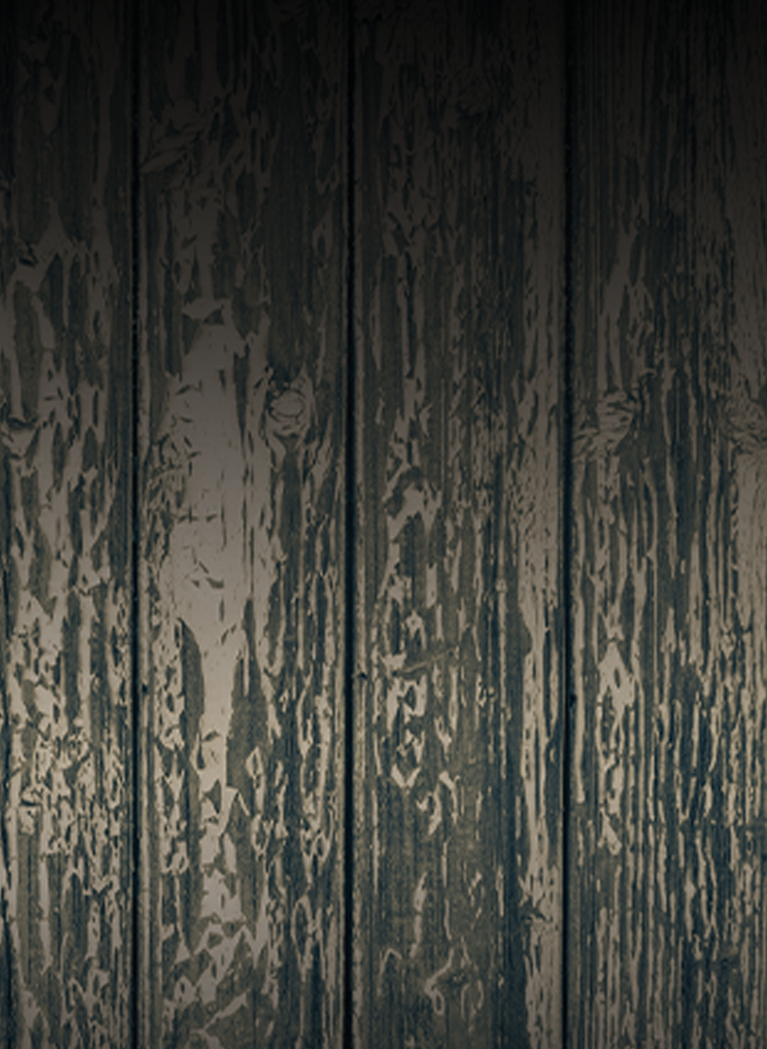 Tree bark wood background with vignette overlay