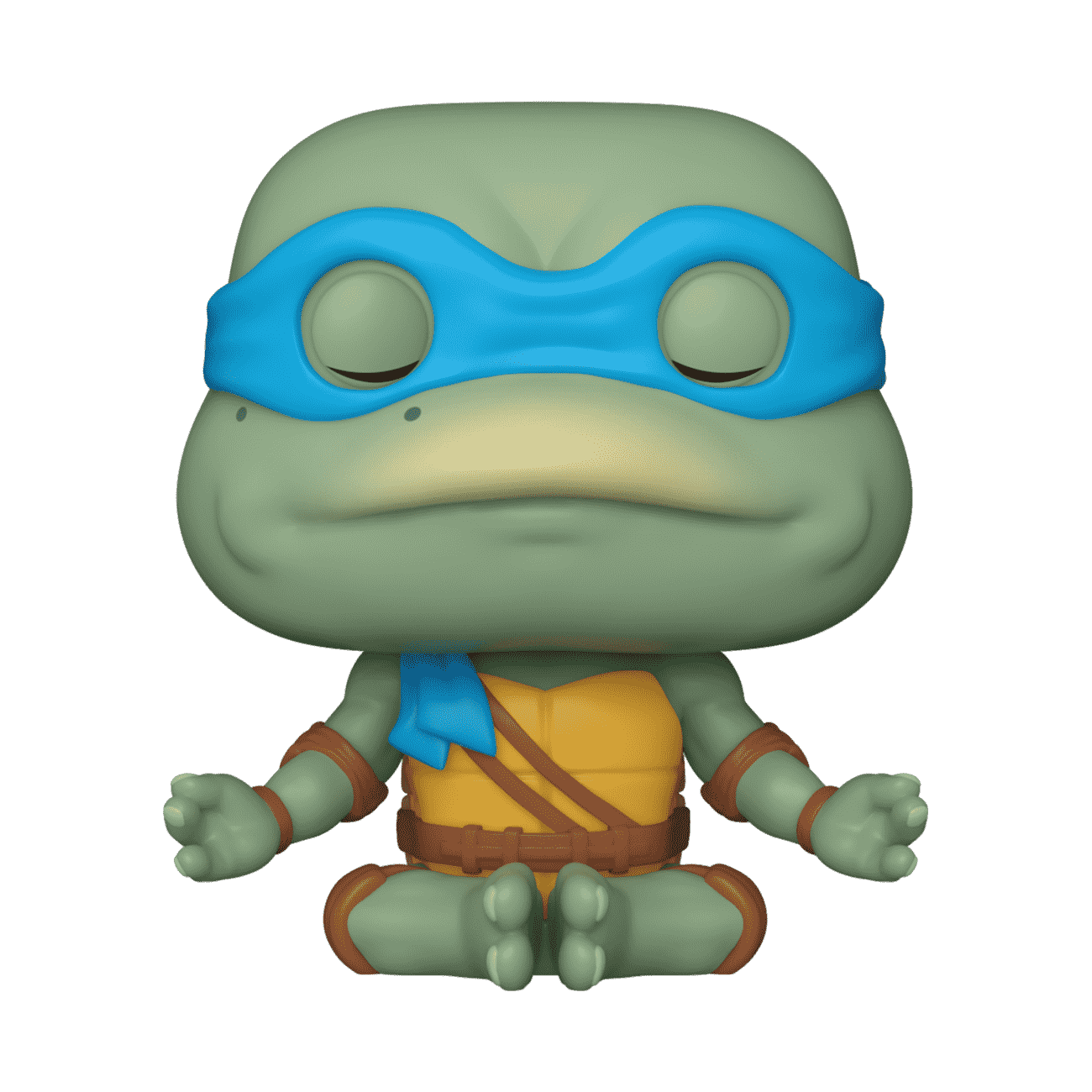 76046_TMNT_S2_LeonardoMeditati