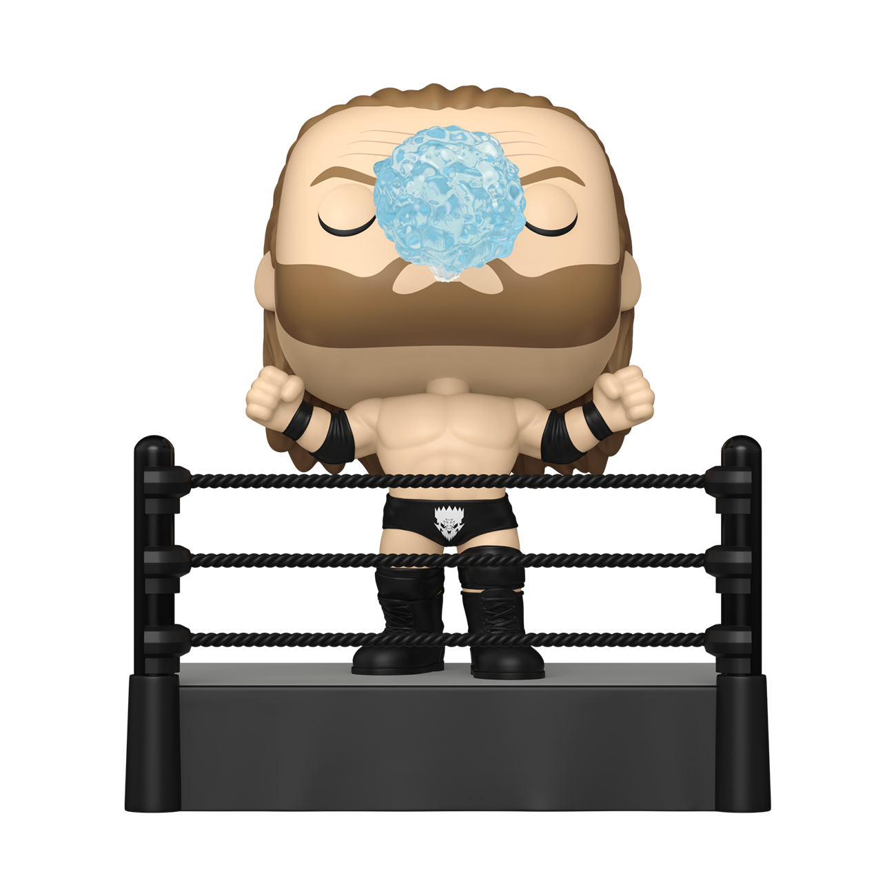 Pop! Premium: WWE 28- Triple H (Ring Entrance)